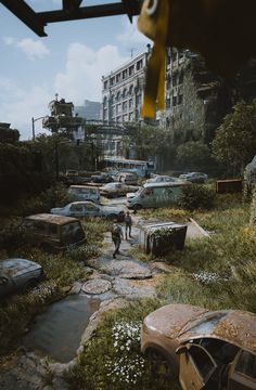 a man walking through a lush green field next to parked cars in the middle of a city