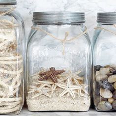 three jars filled with different types of rocks and sea shells on top of a counter