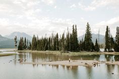 a person standing on the shore of a lake surrounded by pine trees and mountain range