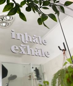 there is a sign that says inhale exhale hanging from the ceiling next to a potted plant