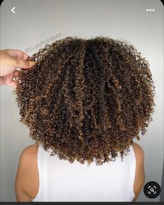 Hair Chestnut Brown, Brown Hair Curly, Auburn Brown Hair, Curly Hair Color Ideas, Curly Hair Color, Curly Highlights, Dyed Curly Hair