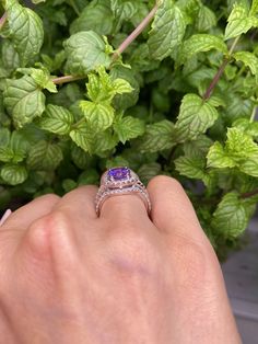 A beautifully crafted Amethyst and diamond three ring set. You receive ALL Three rings. This ring set has a large center stone of approximately 2 carat Amethyst which is surrounded by a halo of pristine cz's. Accompanied by 2 matching curved diamond CZ bands. This ring set makes for a perfect alternate engagement ring or promise ring. It can also be a great birthday gift, girlfriend gift or a special anniversary gift ring for your wife or partner. Your ring is crafted with the purest 925 Sterlin Elegant Amethyst Crystal Ring With Center Stone, Elegant Purple Crystal Ring With Accent Stones, Elegant Purple Crystal Promise Ring, Elegant Purple Crystal Ring With Prong Setting, Fine Jewelry Amethyst Crystal Promise Ring, Fine Jewelry Amethyst Crystal Ring For Promise, Elegant Ring With Amethyst Center Stone, Fine Jewelry Amethyst Ring With Accent Stones For Promise, Elegant Amethyst Rings With Accent Stones