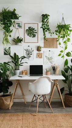 a white desk topped with a laptop computer next to lots of green plants