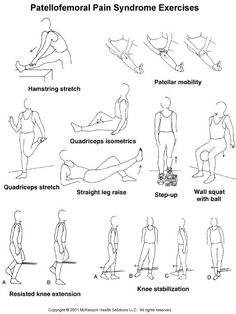 an exercise poster showing how to do the same exercises for each individual body type, including stretching