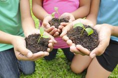 four children holding small plants in their hands with dirt on the ground and grass growing from them