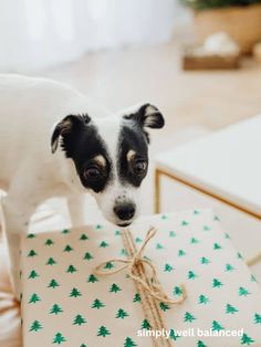 a small dog standing on top of a present box