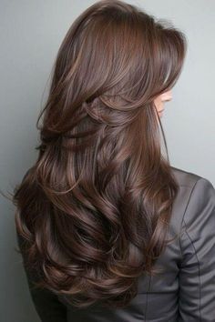 Dark Brown Hair Colors Ideas, Chocolate Brown Hair Tan Skin, Hair Dye Ideas For Brunettes Highlights, Brunette Hair Colour Ideas, Dark Hair Inspo Color, Hair Color Brown Chocolate, Bronze Brown Hair Color, Cocoa Hair Colour, Best Hair Color For Brunettes