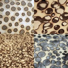 four different types of animal skin patterns