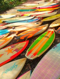 many surfboards are lined up on the ground