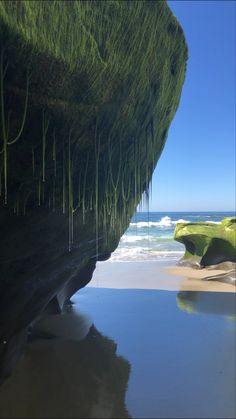 the water is reflecting the green vegetation on the rocks at the edge of the beach