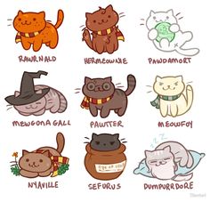 a bunch of cats that are all in different colors and sizes with names on them