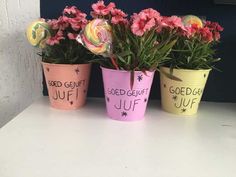 three colorful flower pots with flowers in them