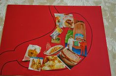 an image of food that is on the floor in the shape of a human stomach