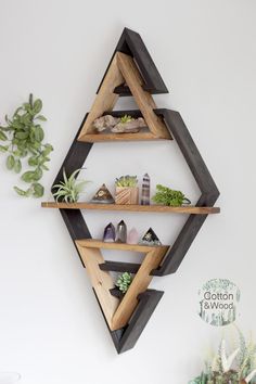 three wooden shelves with plants and rocks in them on the wall next to a potted plant