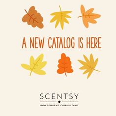 a new catalog is here for scentsy