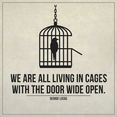 a bird in a cage with the words we are all living in cages with the door wide open