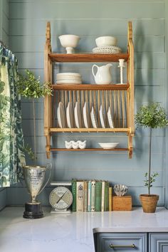 a shelf filled with plates and bowls on top of a counter next to a potted plant