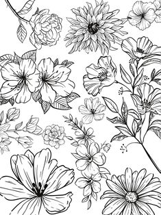 black and white drawing of flowers with leaves