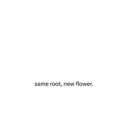 the words same root, new flower are in black and white