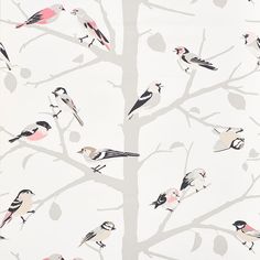 a flock of birds sitting on the branches of a tree in front of a white background