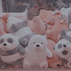 there are many stuffed animals in the display case, including one panda and two other bears