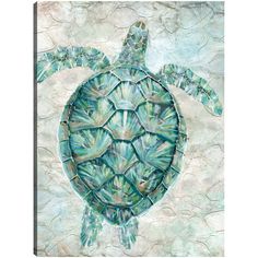 a painting of a sea turtle on a white background