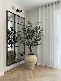 a potted plant in front of a mirror on the wall next to a window