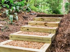 wooden steps made out of wood chips in the middle of some trees and grass with bushes behind them