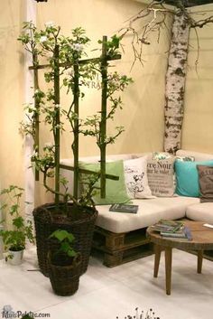 a living room filled with lots of furniture and plants on the floor next to each other