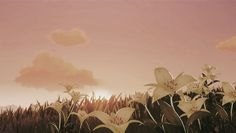 some white flowers are in the grass and there is a pink sky behind them with clouds