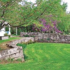 a stone wall in the middle of a grassy area next to a tree with purple flowers on it