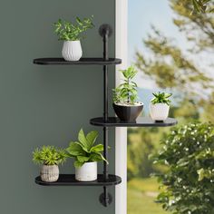 three black shelves with plants on them in front of a green wall and trees outside