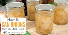 four jars filled with onions sitting on top of a wooden table next to an onion plant