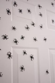 black and white spider magnets on the wall in front of a door with two doors