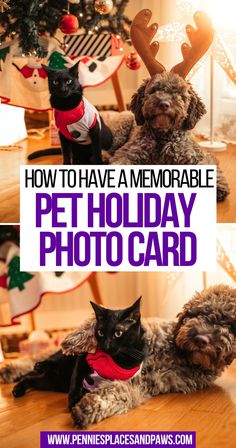 How to Have a Memorable Pet Holiday Photo Card