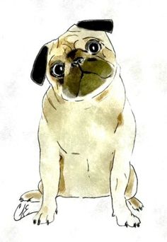 a drawing of a pug dog with a hat on its head