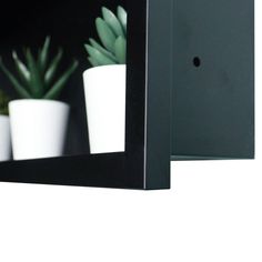 three potted plants are seen in the reflection of a wall mounted mirror on a shelf