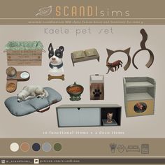 an assortment of pet items displayed on a white background with text describing them as personal items