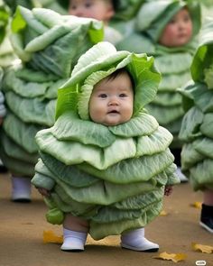 a group of babies dressed in cabbage costumes