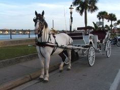 a white horse pulling a carriage down the street