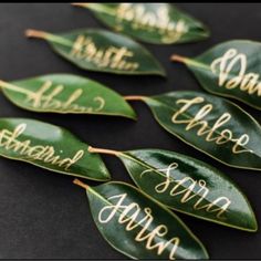 some green leaves with names on them