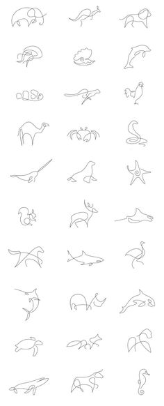 the different types of animals that can be seen in this drawing lesson, which shows how to