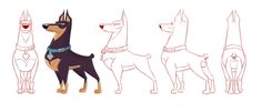 an image of a dog in different stages of life form and how to draw it