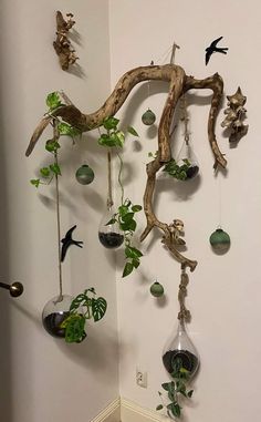 a tree branch with hanging plants and birds on it's branches is shown in the corner of a room