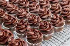 many chocolate cupcakes are on a cooling rack