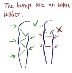 the legs are shown with arrows pointing in different directions