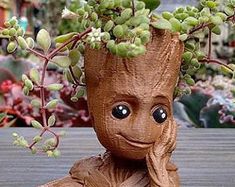 a potted planter that looks like groote