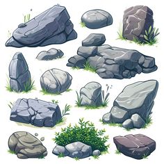 various rocks and grass on a white background