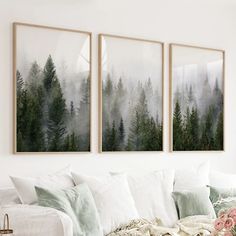 three paintings hanging on the wall above a couch in a room with pillows and blankets