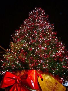 a large christmas tree is lit up at night